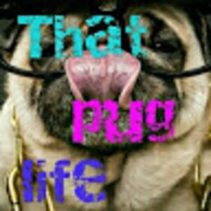 Meet your Posher, Mischief